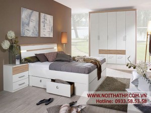 Giường ngủ người lớn HP668